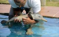 image007.jpg