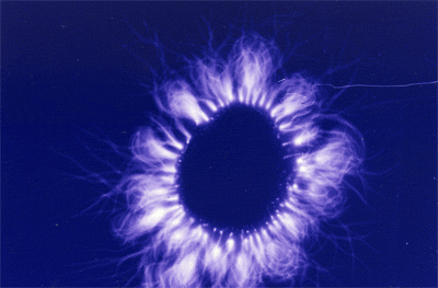 ris2