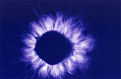 ris2