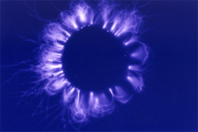 ris2