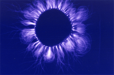 ris2