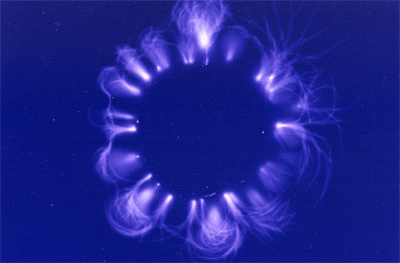ris2