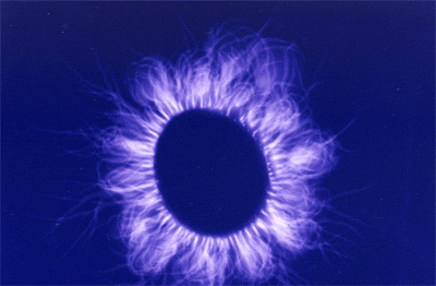 ris2