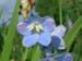 f20l_delfnum3